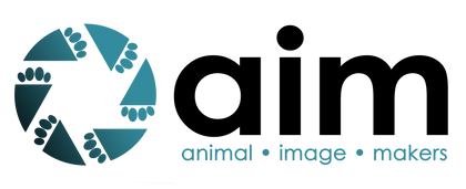 Animal Image Makers Exclusives