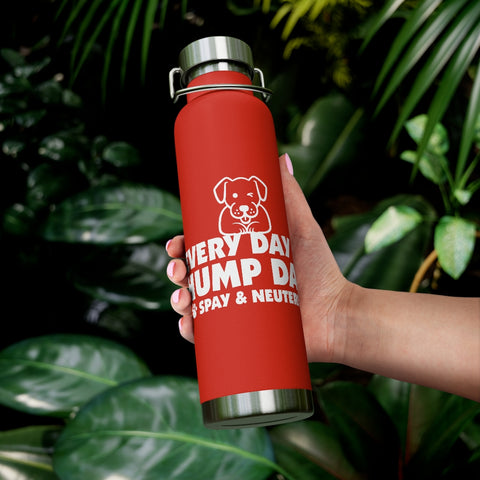 22oz Vacuum Insulated Bottle - Hump Day