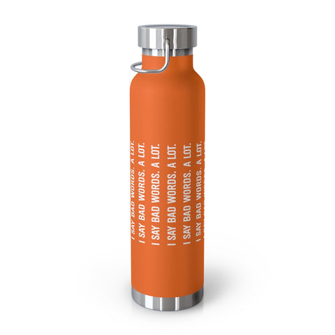 22oz Vacuum Insulated Bottle - Bad Words