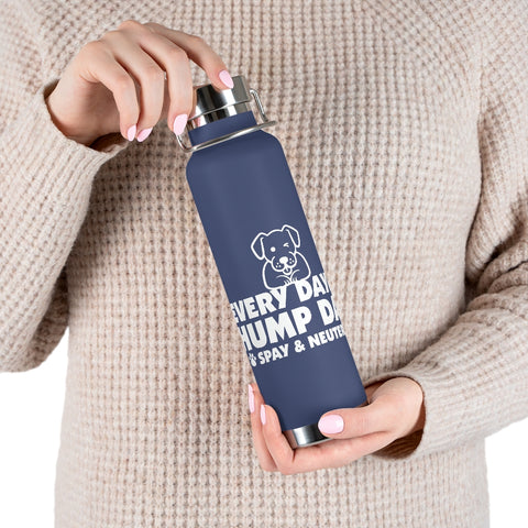 22oz Vacuum Insulated Bottle - Hump Day