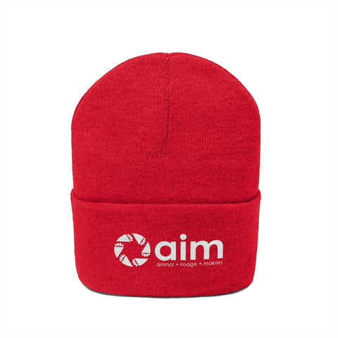 Knit Beanie - AIM