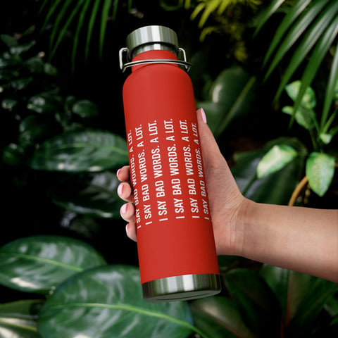 22oz Vacuum Insulated Bottle - Bad Words