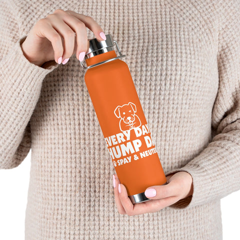 22oz Vacuum Insulated Bottle - Hump Day