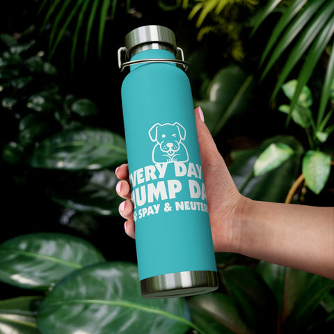 22oz Vacuum Insulated Bottle - Hump Day