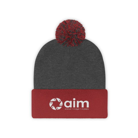 Pom Pom Beanie - AIM