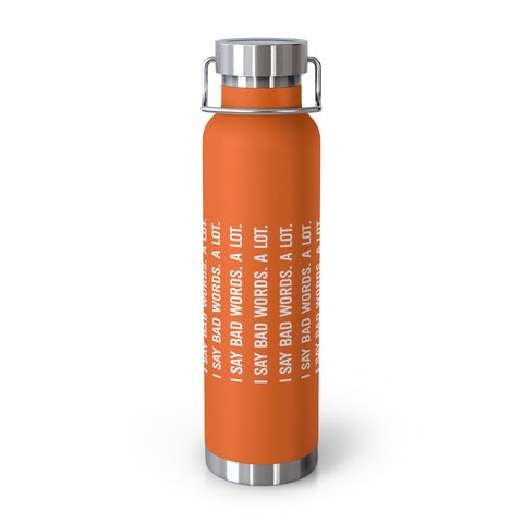 22oz Vacuum Insulated Bottle - Bad Words