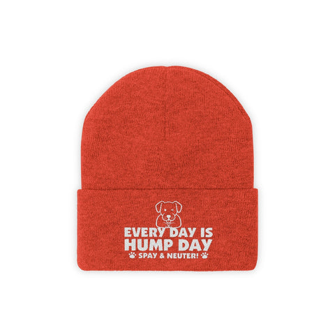 Knit Beanie - Hump Day