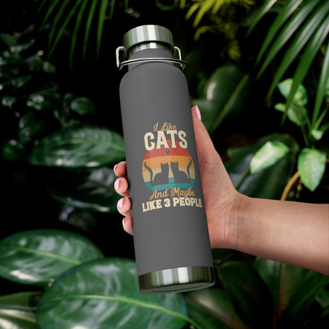 22oz Vacuum Insulated Bottle - Cats