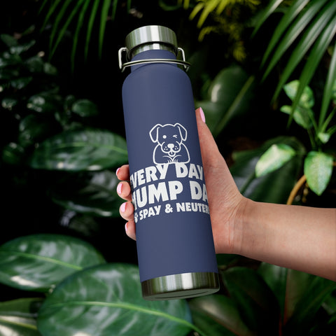 22oz Vacuum Insulated Bottle - Hump Day