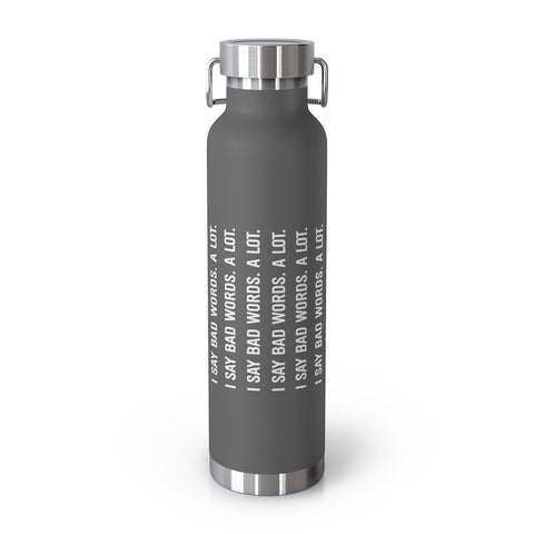 22oz Vacuum Insulated Bottle - Bad Words