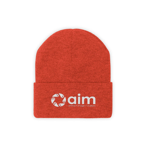 Knit Beanie - AIM