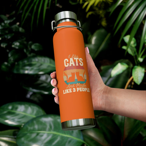 22oz Vacuum Insulated Bottle - Cats