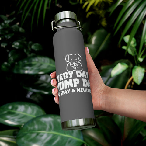 22oz Vacuum Insulated Bottle - Hump Day