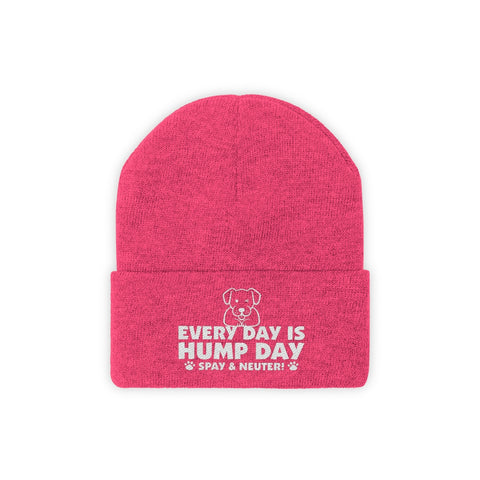 Knit Beanie - Hump Day