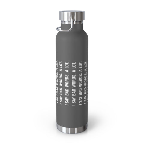 22oz Vacuum Insulated Bottle - Bad Words
