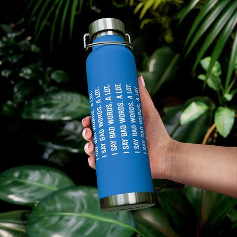 22oz Vacuum Insulated Bottle - Bad Words