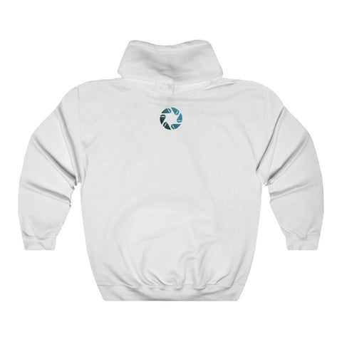 Unisex Heavy Blend™ Hooded Sweatshirt - AIM