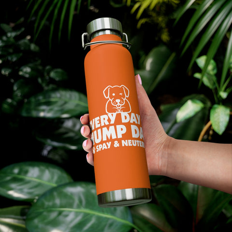 22oz Vacuum Insulated Bottle - Hump Day