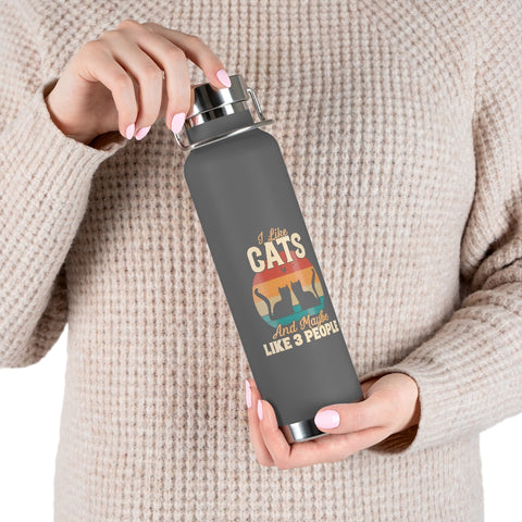 22oz Vacuum Insulated Bottle - Cats