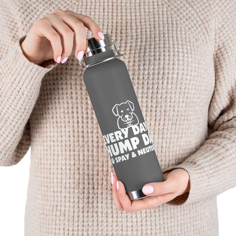 22oz Vacuum Insulated Bottle - Hump Day